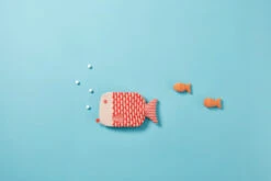 Donna Wilson Finn Hot Water Bottle - Orange -Donnawilson Shop DonnaWilson 2018 05 11 12168