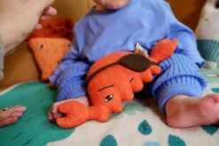 Donnawilson Shop -Donnawilson Shop WeeOnes Nipper S1 SS25 Heks LoRes